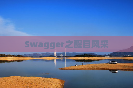 Swagger之醒目风采